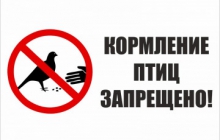 Памятка населению